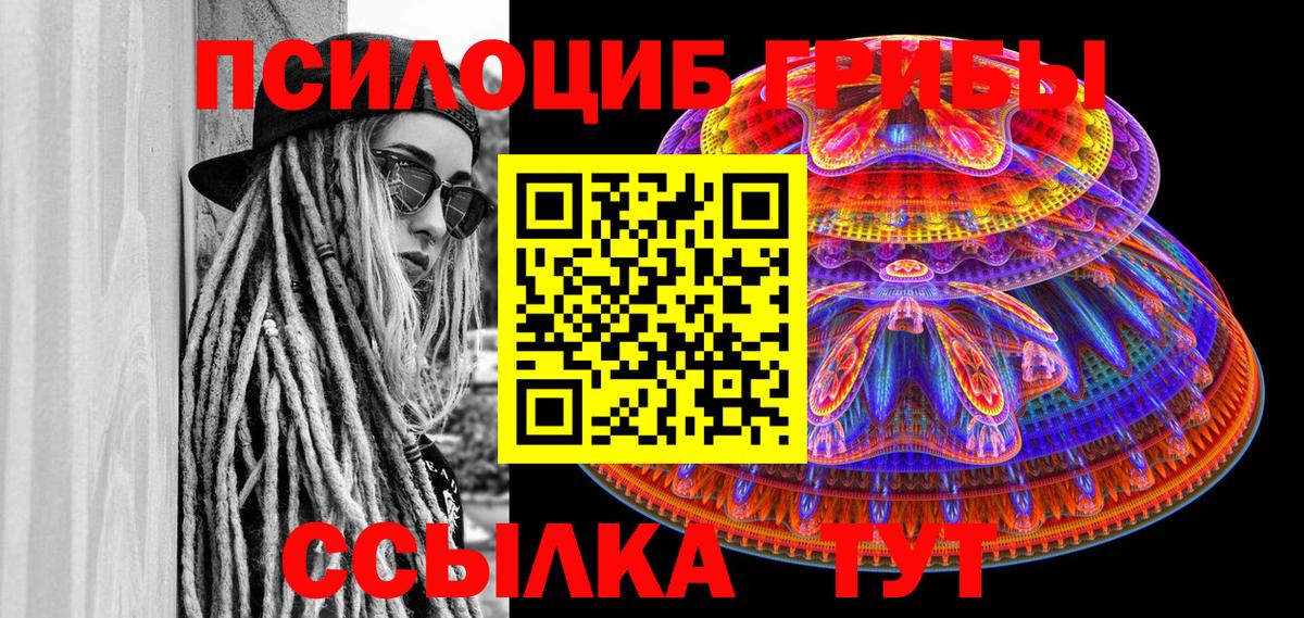 Галлюциногенные грибы Magic Shrooms  Вход с VPN  Саянск  Псилоцибиновые грибы Psilocybine cubensis 