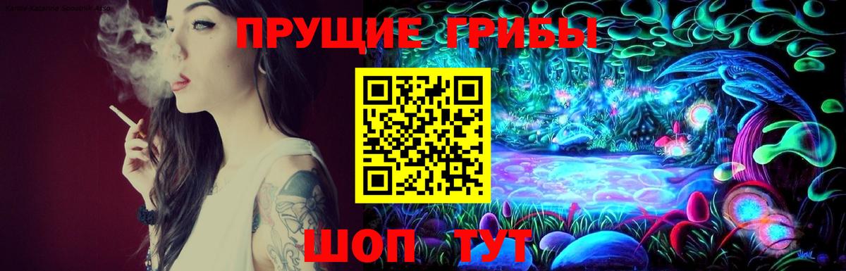 Псилоцибиновые грибы прущие грибы Саянск